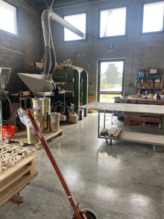 immagine annuncio 4 di 11