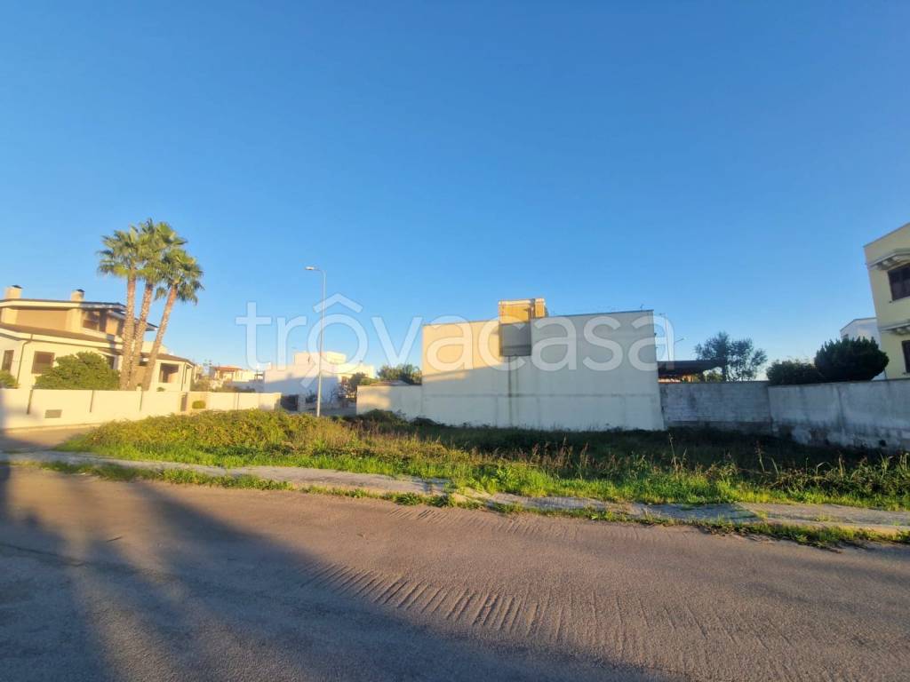 immagine annuncio 3 di 6