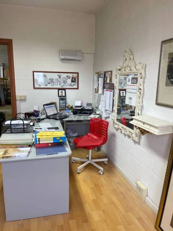 immagine annuncio 7 di 11