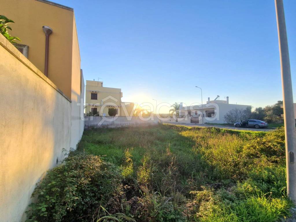 immagine annuncio 5 di 6