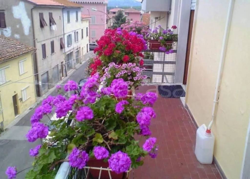 immagine annuncio 4 di 14