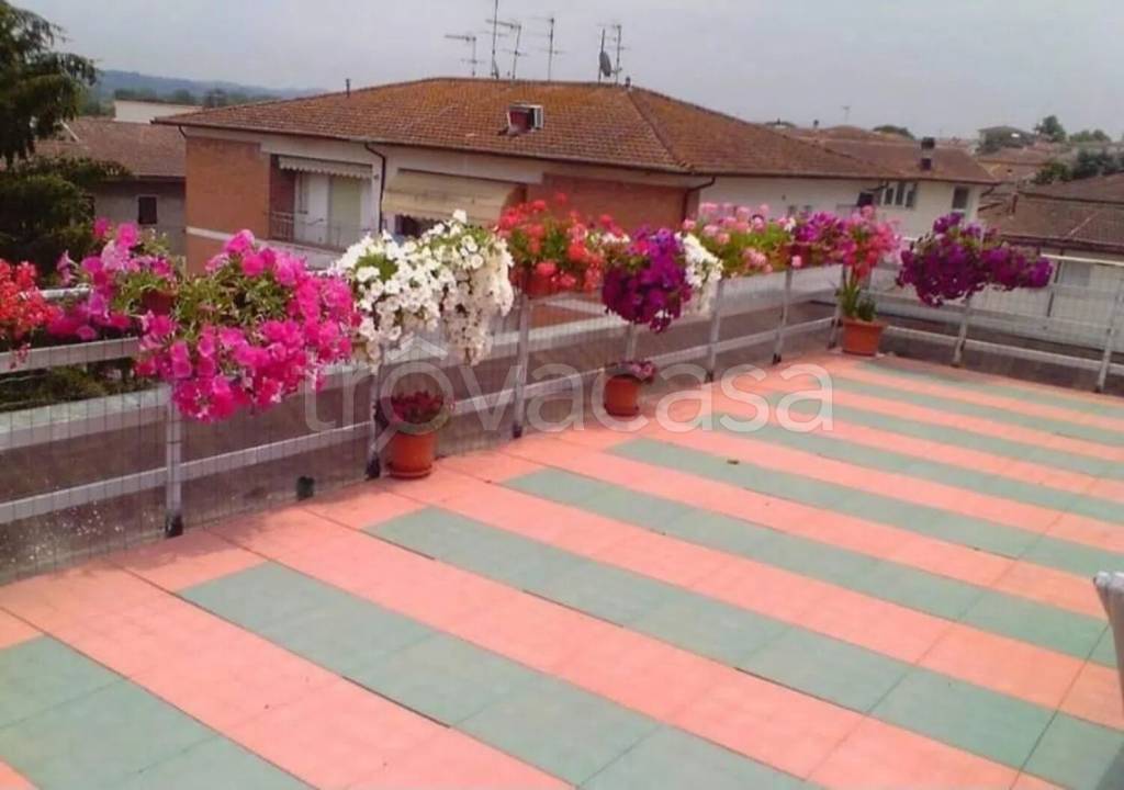 immagine annuncio 13 di 14