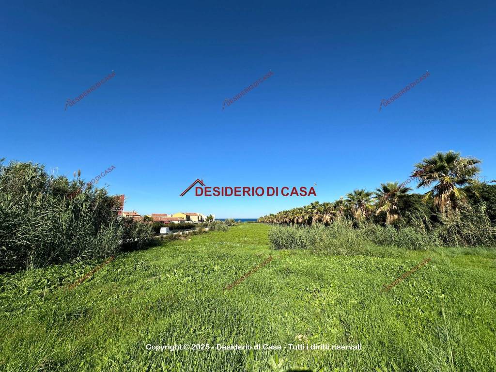 immagine annuncio 4 di 7