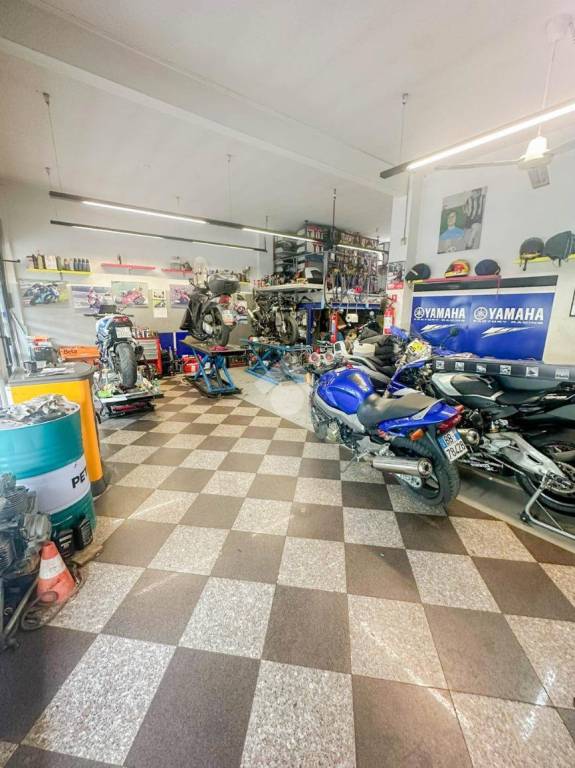 immagine annuncio 5 di 15