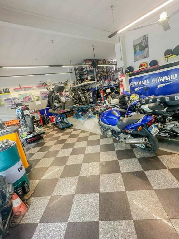 immagine annuncio 8 di 15