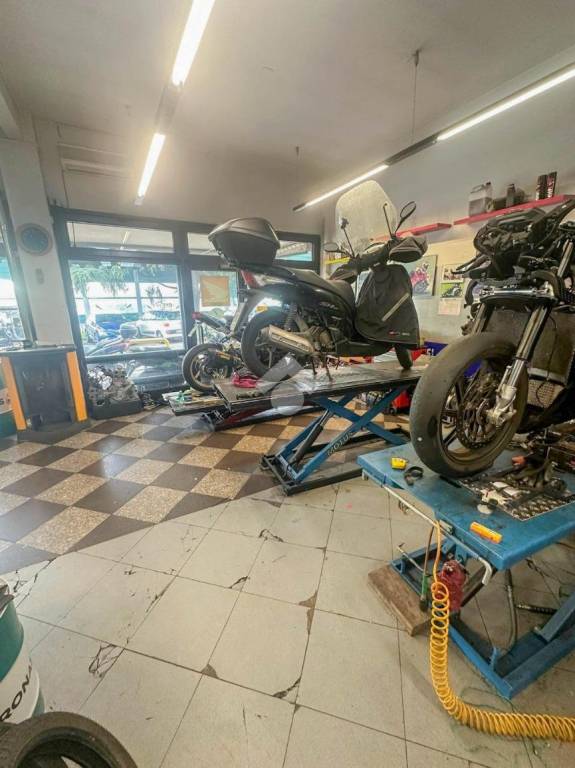 immagine annuncio 9 di 15