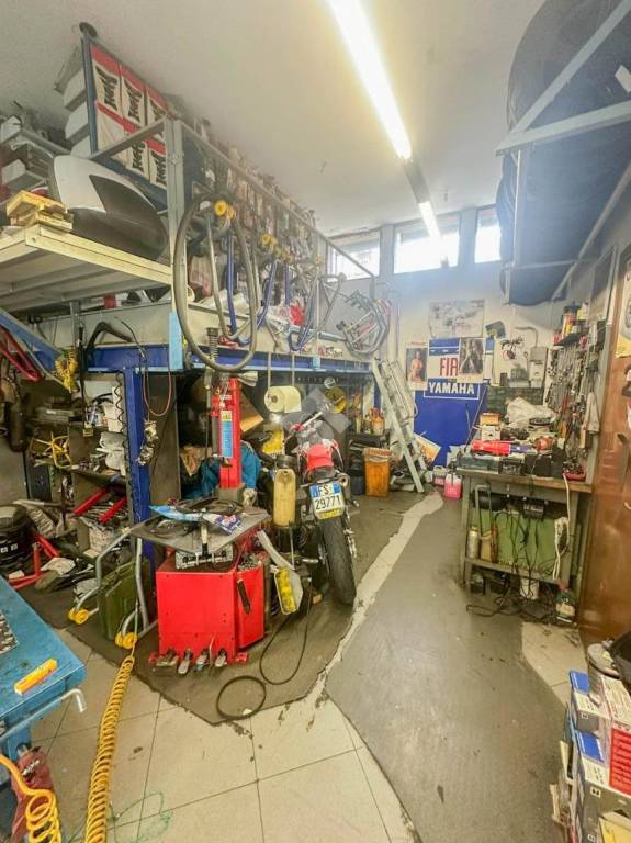 immagine annuncio 11 di 15