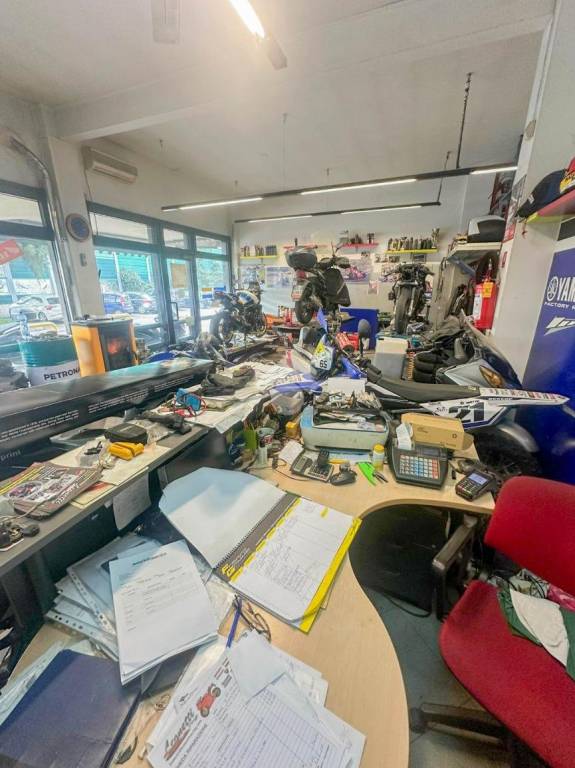 immagine annuncio 12 di 15