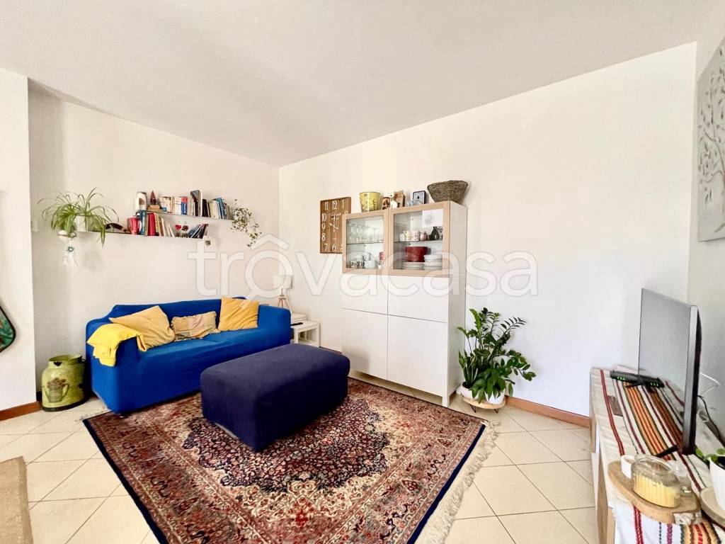 immagine annuncio 2 di 14