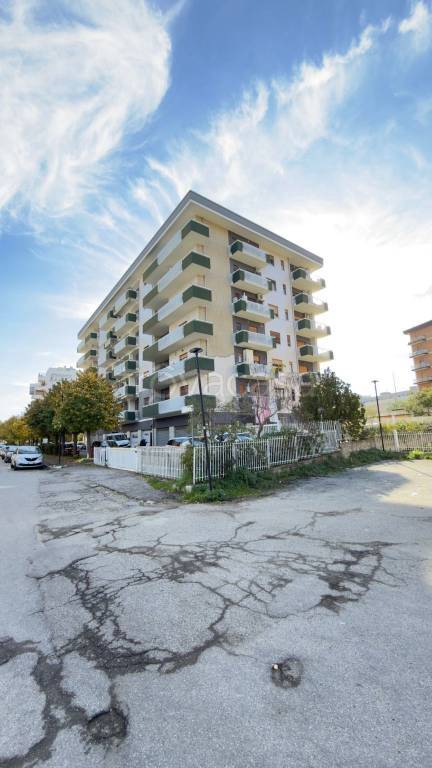 immagine annuncio 1 di 9