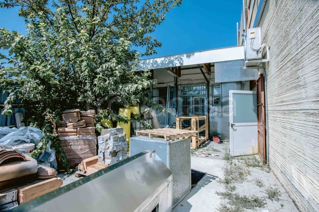 immagine annuncio 1 di 12