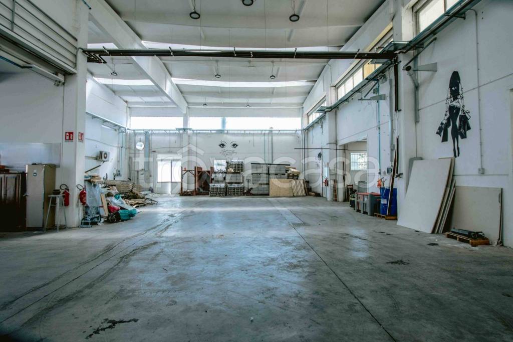 immagine annuncio 3 di 12