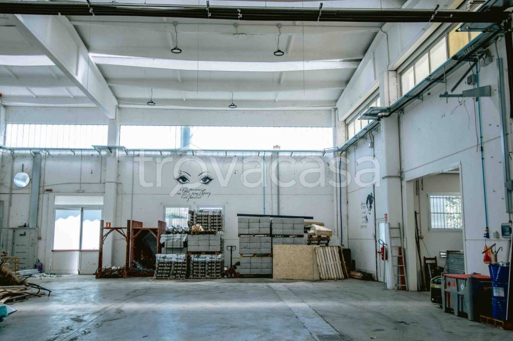 immagine annuncio 4 di 12