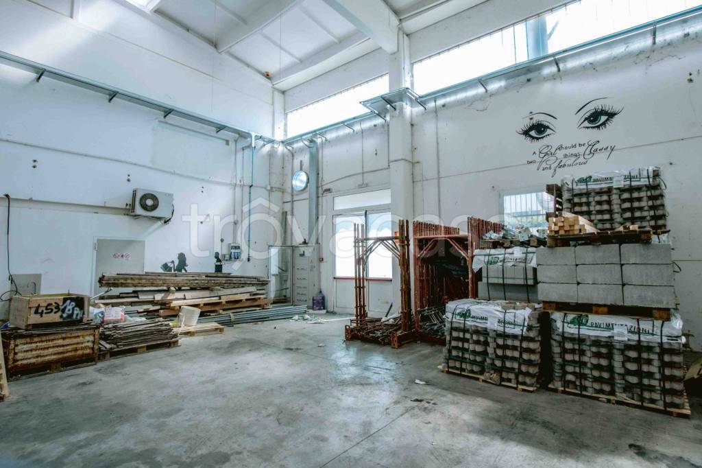 immagine annuncio 6 di 12