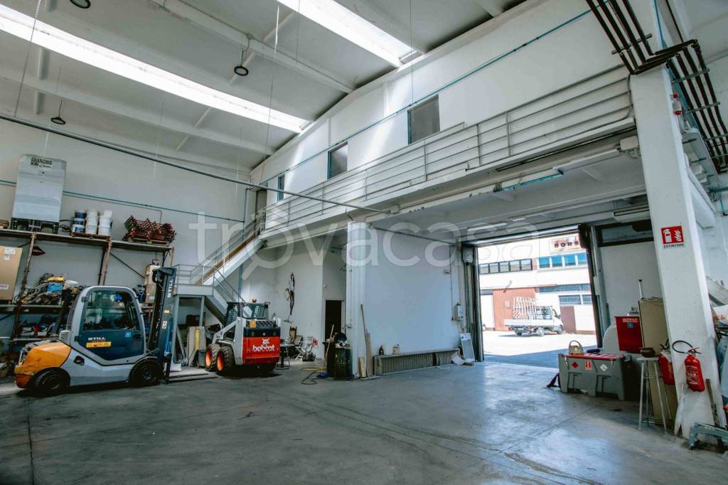 immagine annuncio 7 di 12