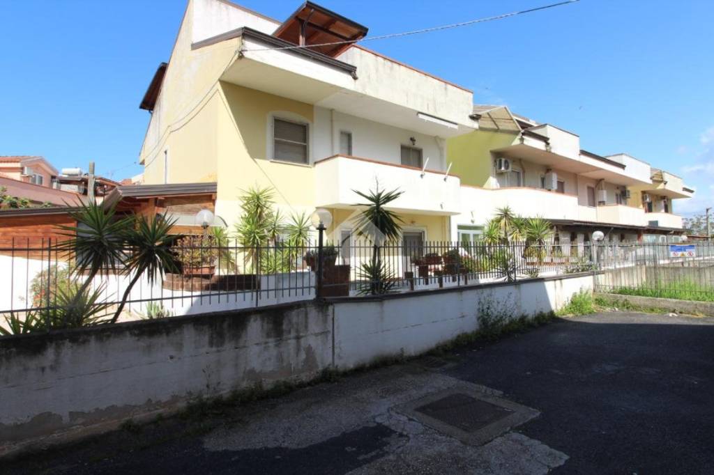 immagine annuncio 1 di 12