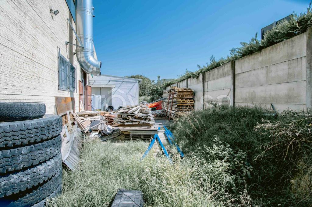 immagine annuncio 10 di 12