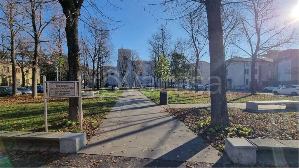 immagine annuncio 11 di 12