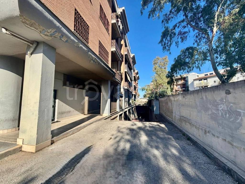 immagine annuncio 5 di 6