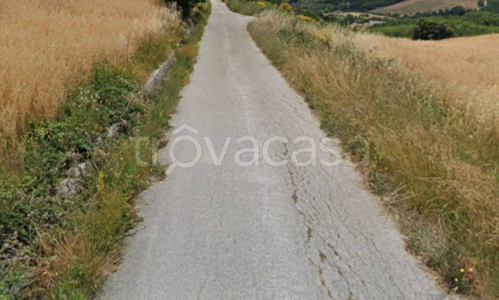 immagine annuncio 5 di 14