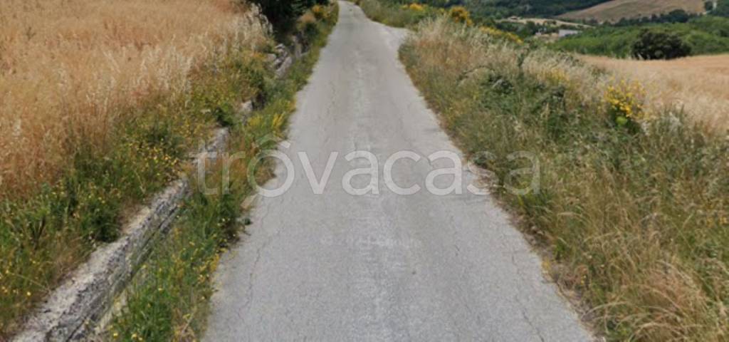 immagine annuncio 6 di 14