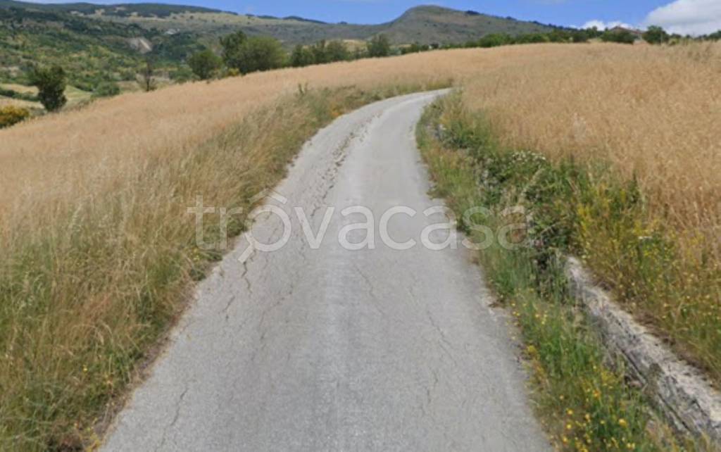 immagine annuncio 7 di 14