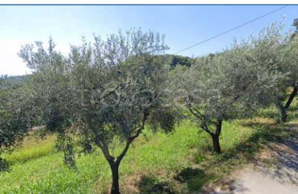 immagine annuncio 4 di 9