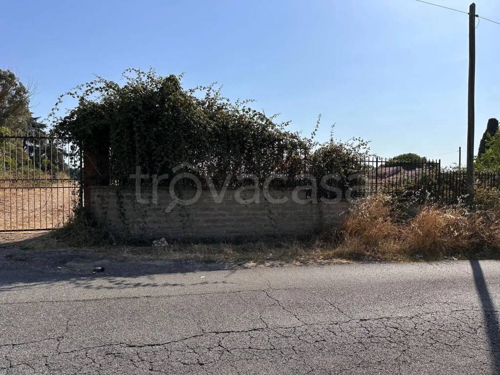 immagine annuncio 2 di 6