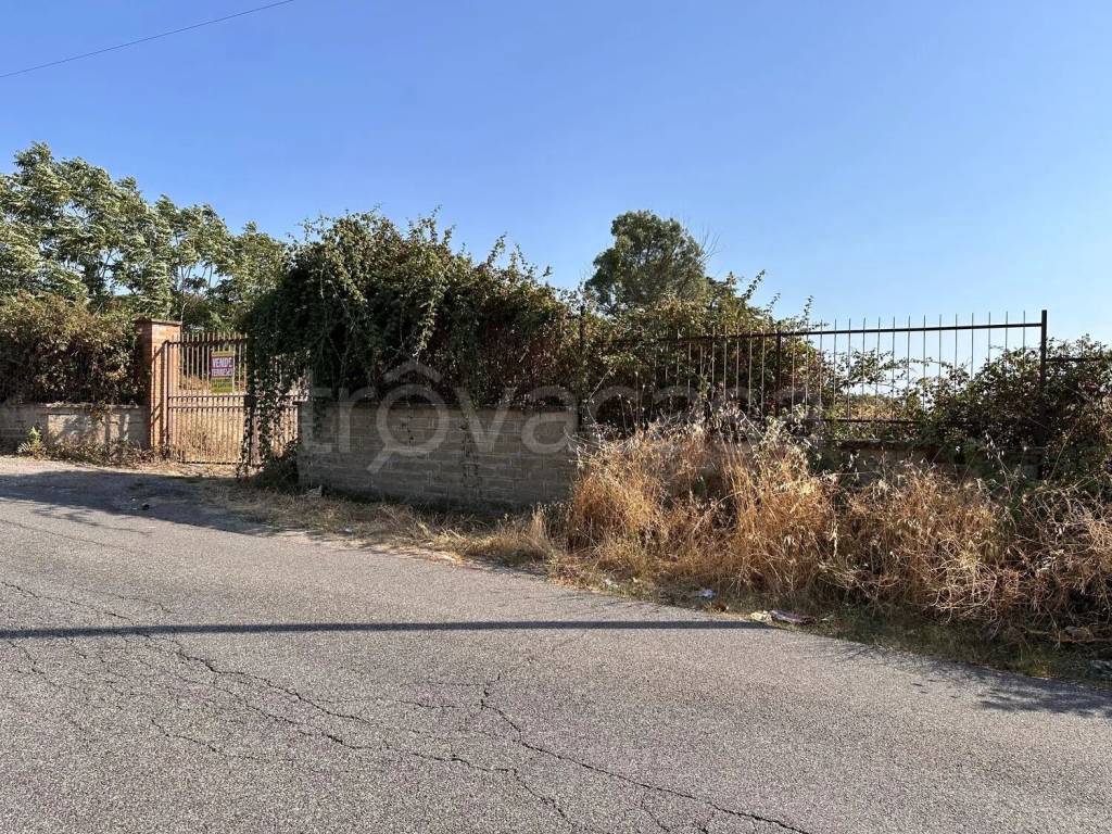 immagine annuncio 3 di 6