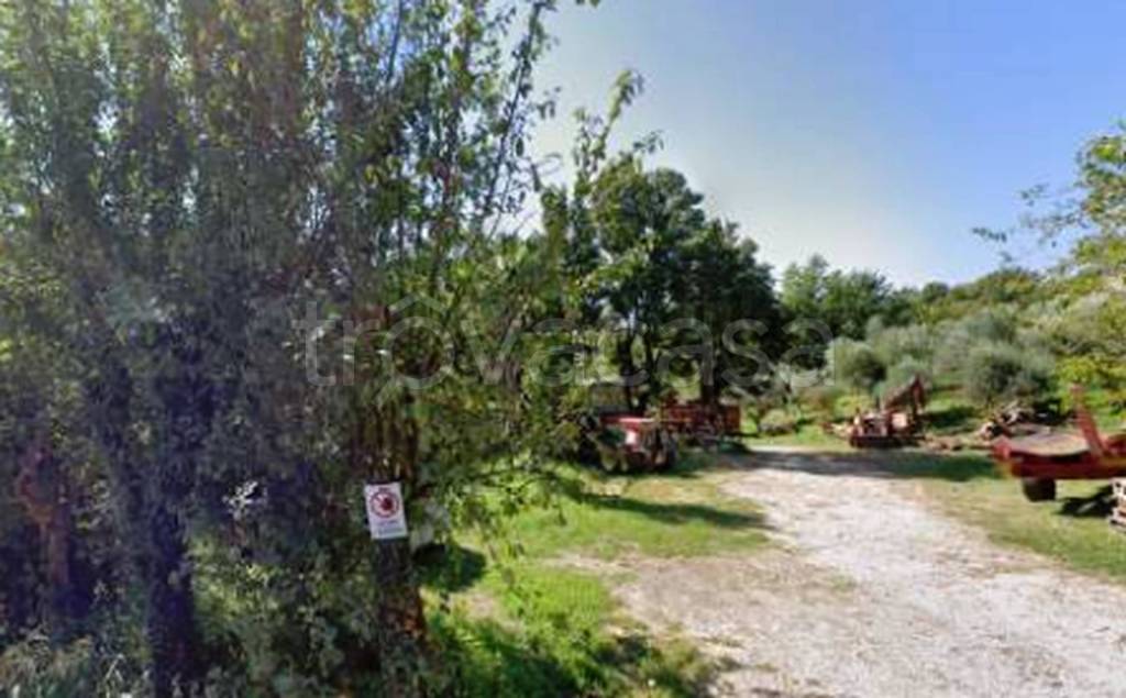 immagine annuncio 5 di 9