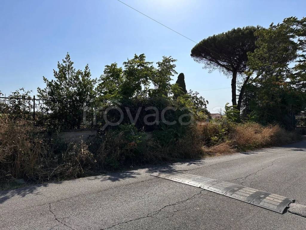 immagine annuncio 4 di 6