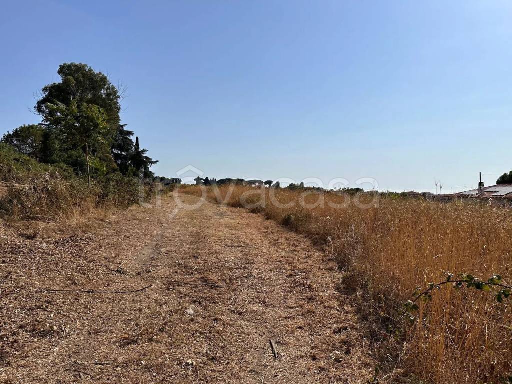 immagine annuncio 5 di 6