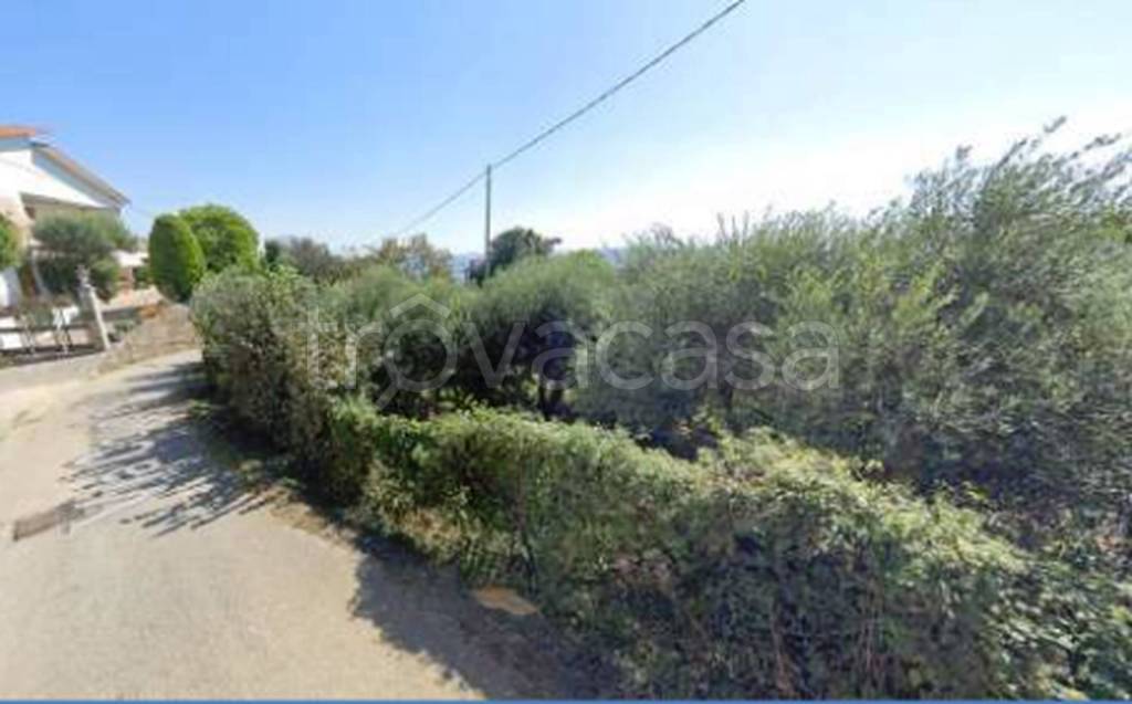 immagine annuncio 8 di 9