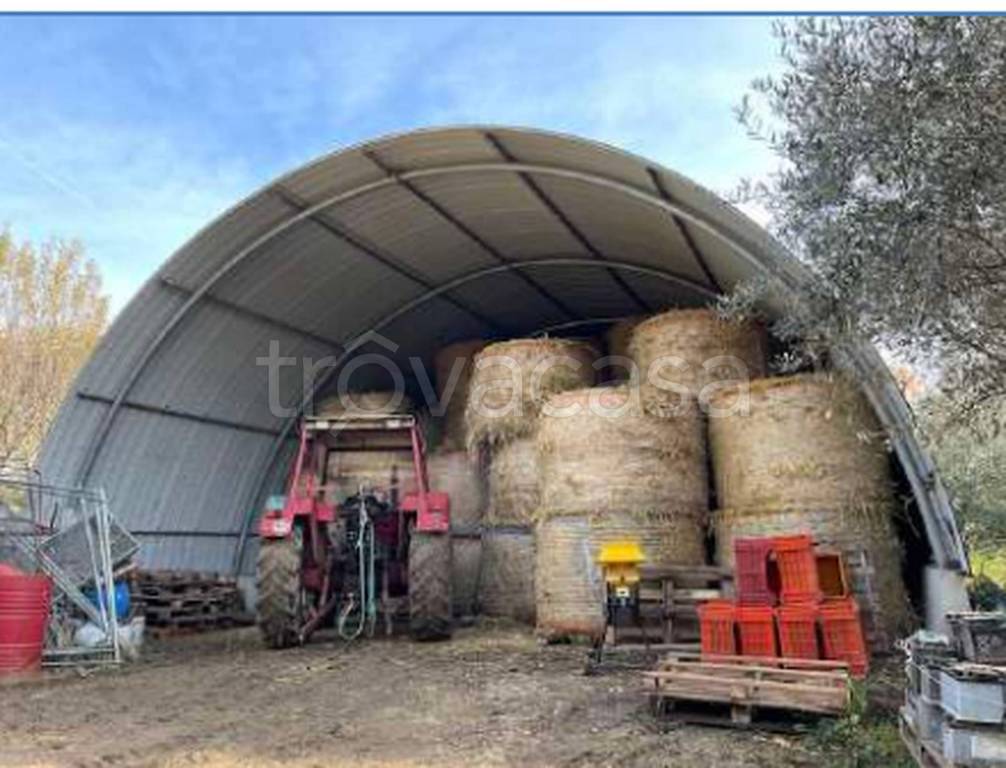 immagine annuncio 7 di 9