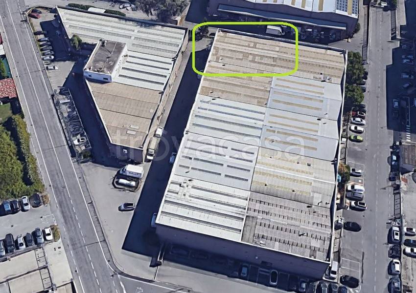 immagine annuncio 4 di 8