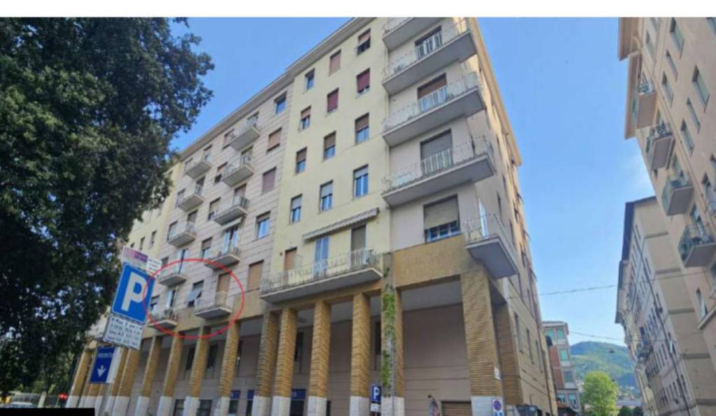 immagine annuncio 1 di 10