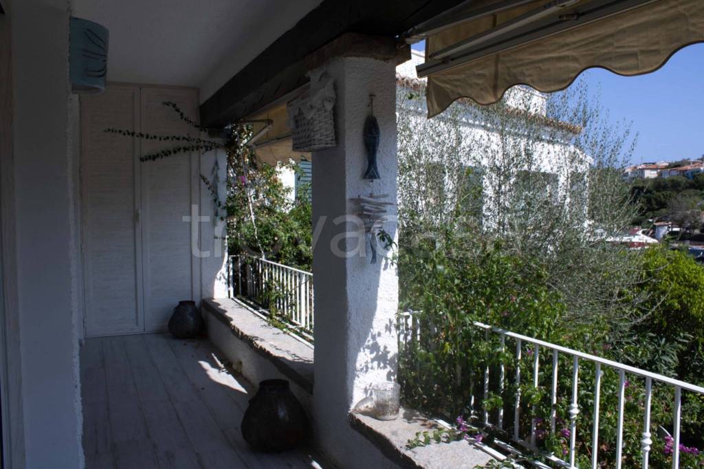 immagine annuncio 2 di 14