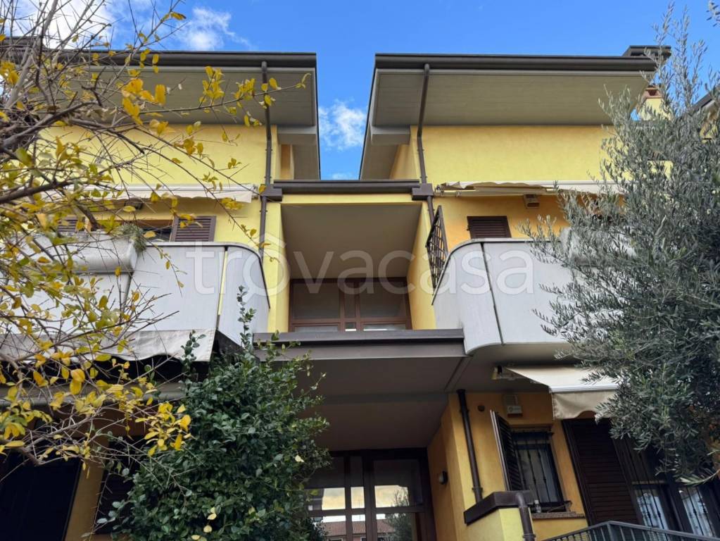 immagine annuncio 1 di 15