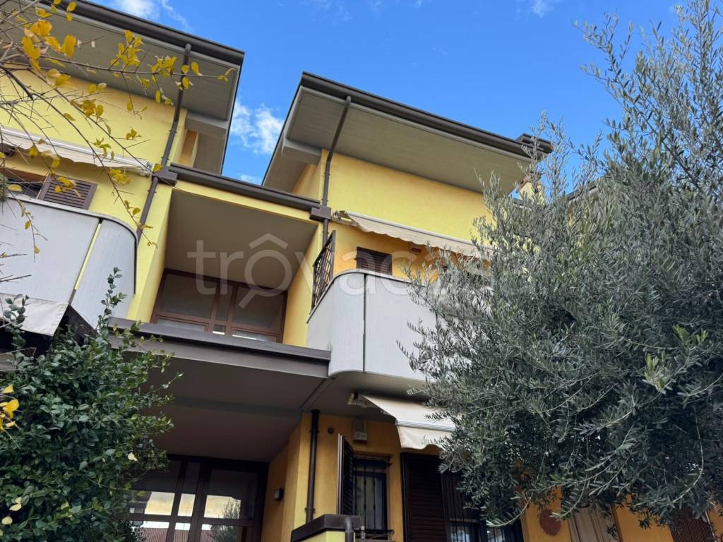 immagine annuncio 2 di 15