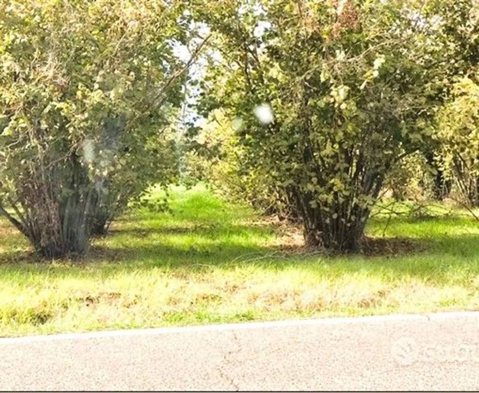 immagine annuncio 4 di 7