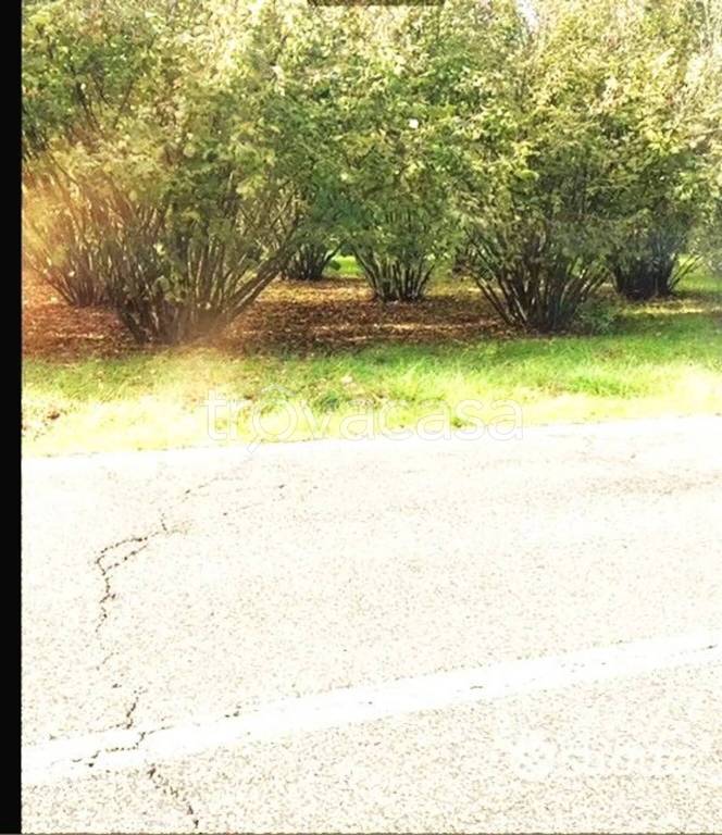 immagine annuncio 5 di 7