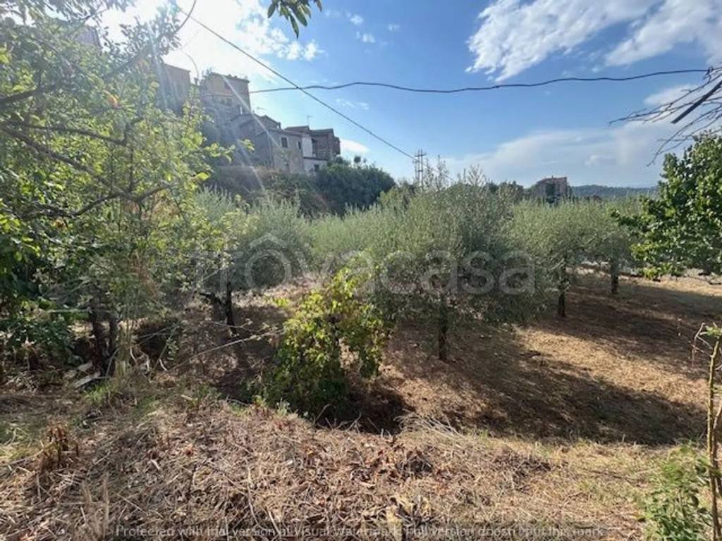 immagine annuncio 3 di 9