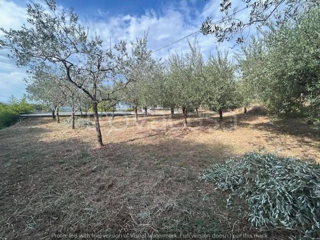 immagine annuncio 5 di 9