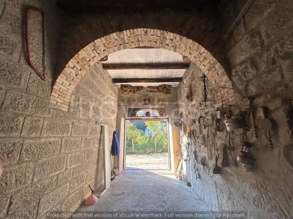 immagine annuncio 3 di 8