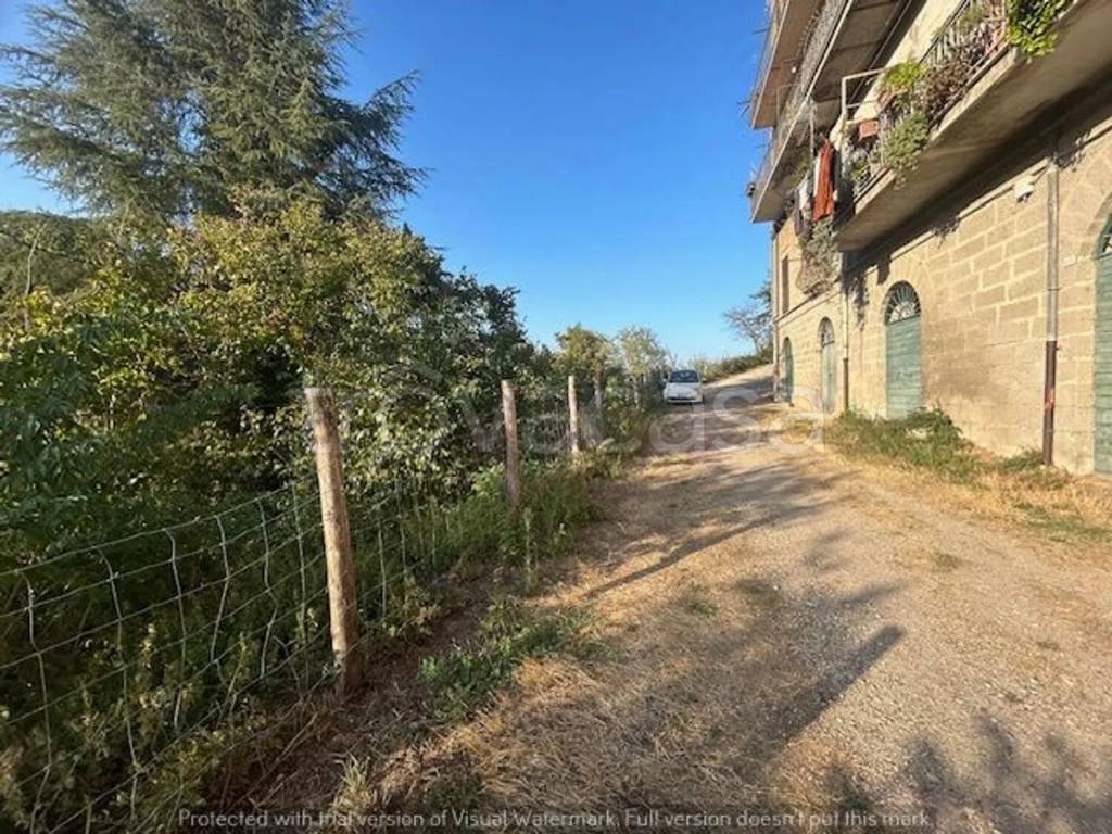 immagine annuncio 6 di 8