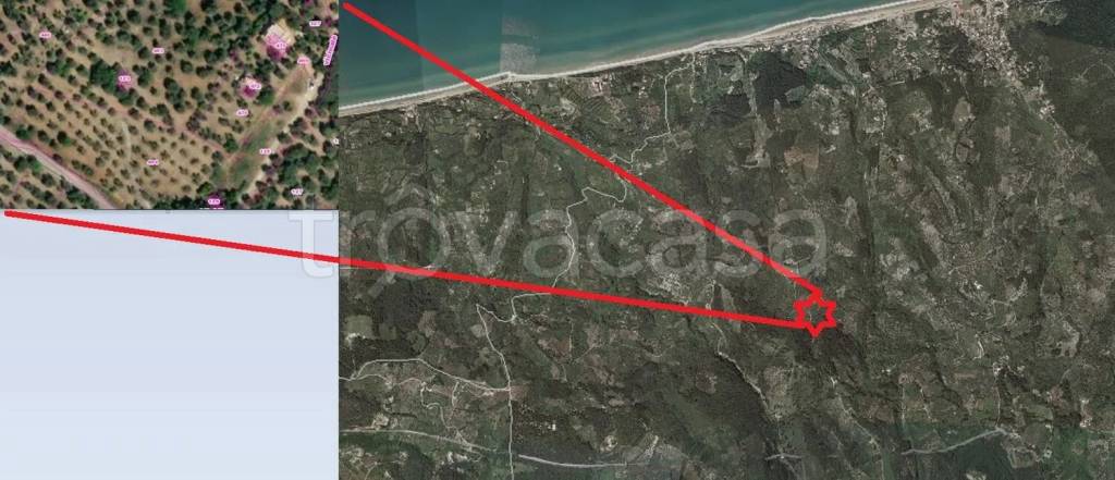 immagine annuncio 4 di 8