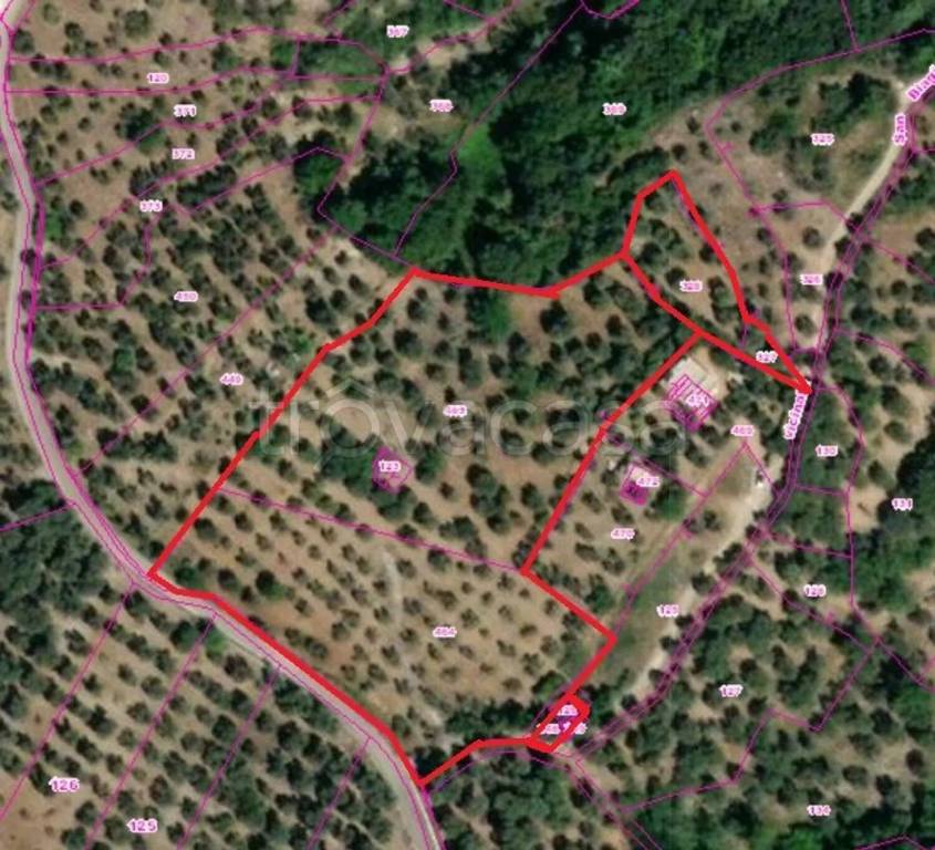 immagine annuncio 5 di 8