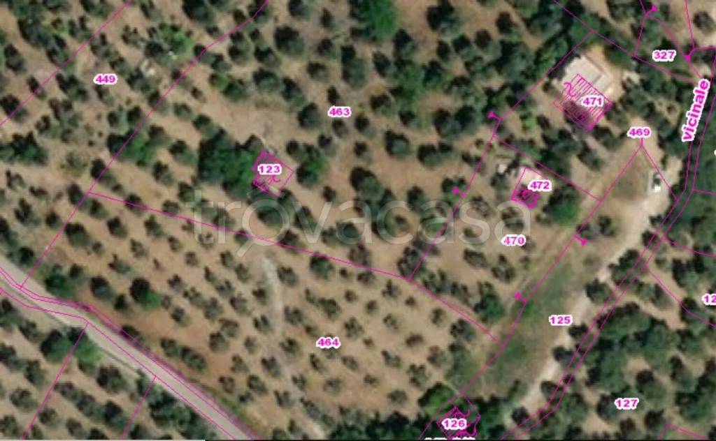 immagine annuncio 6 di 8