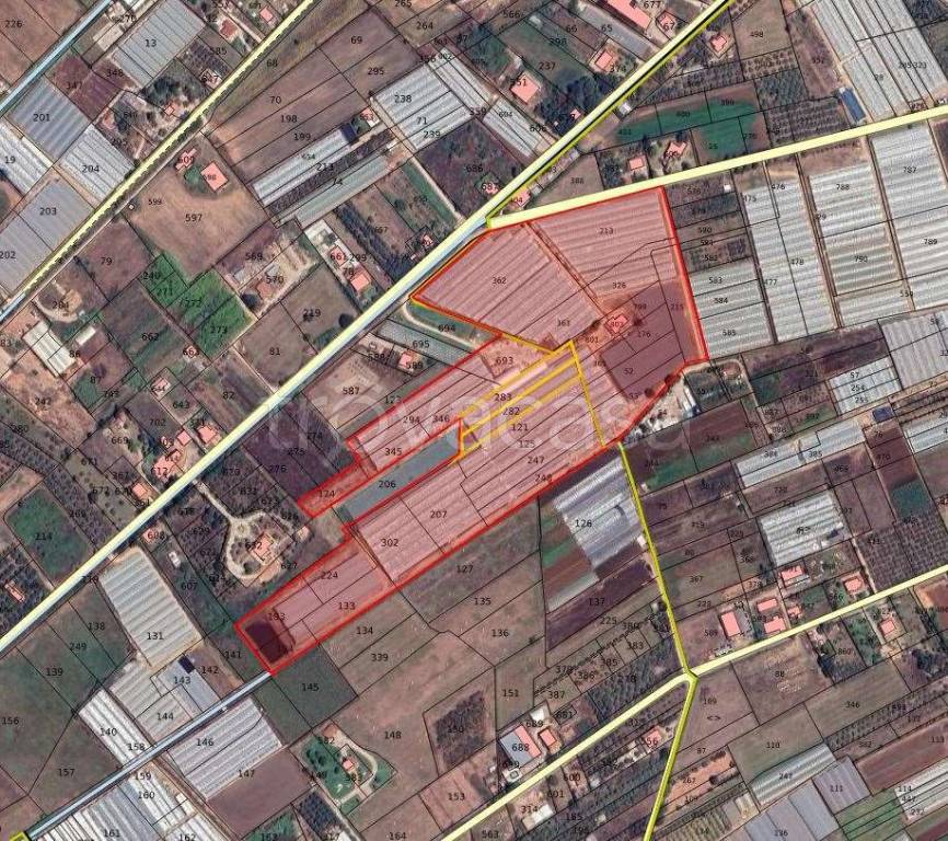 immagine annuncio 1 di 2