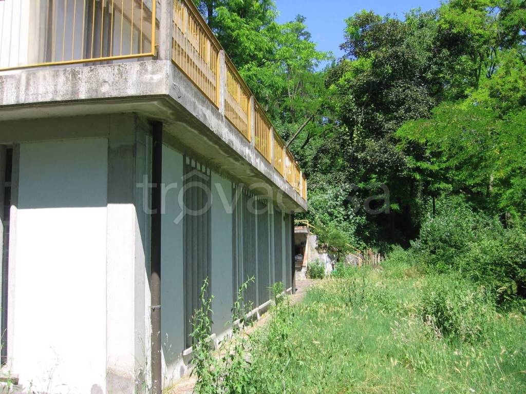 immagine annuncio 4 di 7